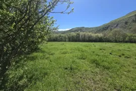 იყიდება მიწის ნაკვეთი, სასოფლო - სამეურნეო, აბასთუმანი 