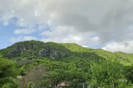 იყიდება მიწის ნაკვეთი, სასოფლო - სამეურნეო, აბასთუმანი 
