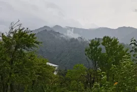 იყიდება სახლი, 9 ოთახიანი, ბათუმი