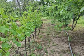 იყიდება მიწის ნაკვეთი, არა სასოფლო - სამეურნეო, ისანი