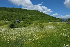 Land For Sale, Agricultural, Mamadaanebi