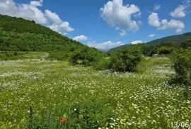 Land For Sale, Agricultural, Mamadaanebi