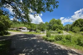 Land For Sale, Agricultural, Mamadaanebi