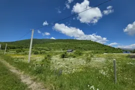 Land For Sale, Agricultural, Mamadaanebi