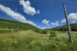 Land For Sale, Agricultural, Mamadaanebi