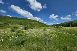 Land For Sale, Agricultural, Mamadaanebi