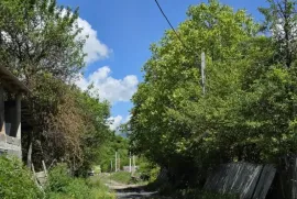 Land For Sale, Agricultural, Mamadaanebi