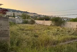 იყიდება მიწის ნაკვეთი, სასოფლო - სამეურნეო, წავკისი