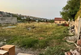 იყიდება მიწის ნაკვეთი, სასოფლო - სამეურნეო, წავკისი