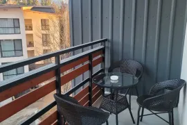 ქირავდება ბინა, 2 ოთახიანი, ახალი აშენებული, ბორჯომი, ბაკურიანი