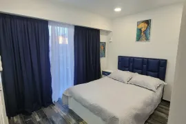 ქირავდება ბინა, 2 ოთახიანი, ახალი აშენებული, ბორჯომი, ბაკურიანი