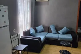 Аренда, 2 Kомнатная, Новостройка, Тбилиси, Дидубе