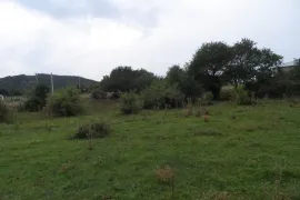 Land For Sale, Agricultural, Didgori 