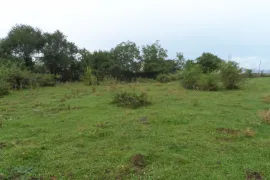 Land For Sale, Agricultural, Didgori 