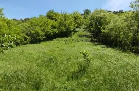 Land For Sale, Agricultural, Gldani village