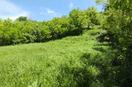 Land For Sale, Agricultural, Gldani village