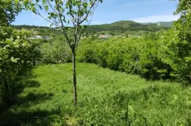 Land For Sale, Agricultural, Gldani village