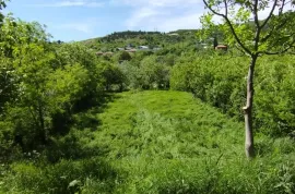 Land For Sale, Agricultural, Gldani village