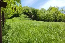 Land For Sale, Agricultural, Gldani village