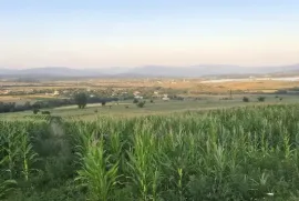 Land For Sale, Agricultural, Chirdileliantkari
