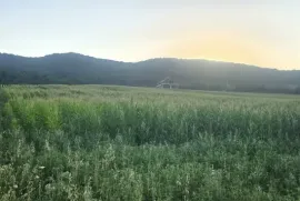 Land For Sale, Agricultural, Chirdileliantkari