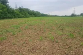 Продается Земля, Sviri