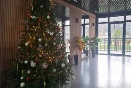 Apartment for sale, 4 Room, New building, Tbilisi, Isani