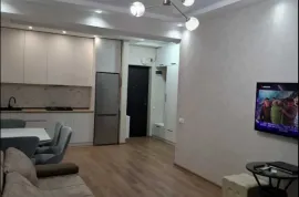 Аренда, 2 Kомнатная, Новостройка, Тбилиси, Диди Дигоми