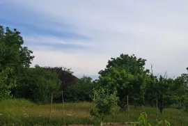 იყიდება მიწის ნაკვეთი, ძალისი