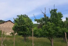 იყიდება მიწის ნაკვეთი, ძალისი