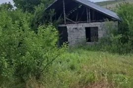 იყიდება მიწის ნაკვეთი, ძალისი