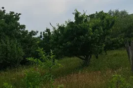 იყიდება მიწის ნაკვეთი, ძალისი