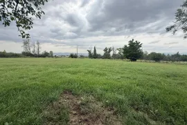 Land For Sale, Agricultural, Lilo