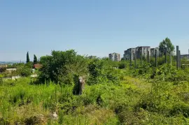 Land For Sale, Avangardi Settlement