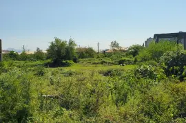 Land For Sale, Avangardi Settlement