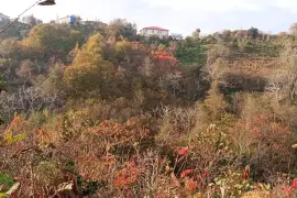 იყიდება მიწის ნაკვეთი, არა სასოფლო - სამეურნეო, მახინჯაური