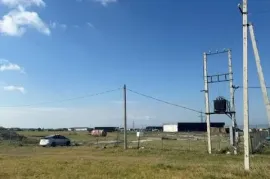 Land For Sale, Agricultural, Martkopi