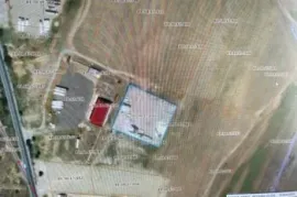 Land For Sale, Agricultural, Martkopi
