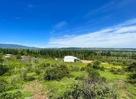 Land For Sale, Samgori