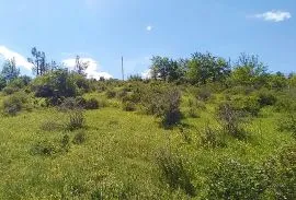 Land For Sale, Samgori