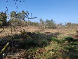 Land For Sale, Tsikhisdziri