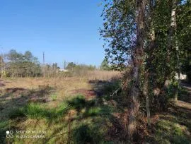 Land For Sale, Tsikhisdziri