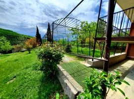 House For Sale, Gldani village