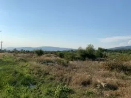 Land For Sale, Navdaraantkari