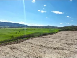 Land For Sale, Sagarejo