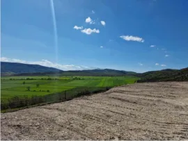 Land For Sale, Sagarejo