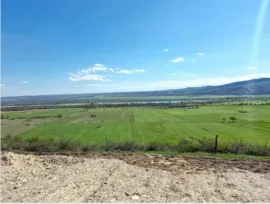 Land For Sale, Sagarejo