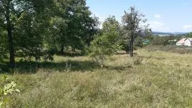 Land For Sale, Zhebota