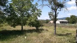 Land For Sale, Zhebota