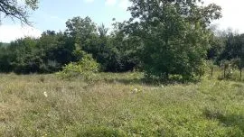 Land For Sale, Zhebota